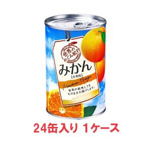 【送料無料】K&amp;K国分　世界のめぐみ紀行 みかん 425g 4号缶（24缶入×1ケース）【賞味期限：2024.11.30】 缶詰の商品画像