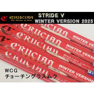 クルージャンウインターバージョン'15model チョ－チングラスムク(WCG