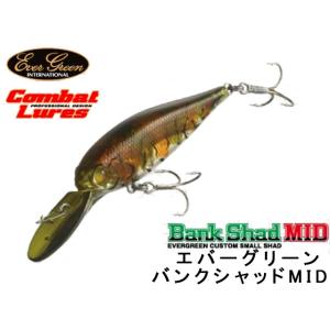 エバーグリーン EverGreen クリアランス品 エバーグリーン ラットアタット