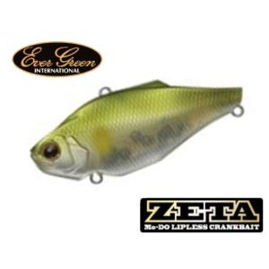 エバーグリーン　MODO　ジータ