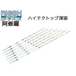 リコーサーバンス 至道 PCムクトップ 深宙 RICOH SERVANCE : バック