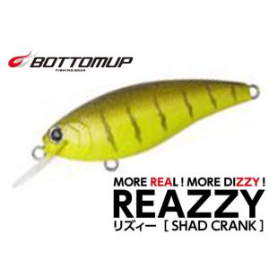 シマノ（SHIMANO） リミテッドプロFW ジェントルパワー 90NZ/C258Y 美