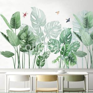 南国風の観葉植物の商品一覧 通販 Yahoo ショッピング