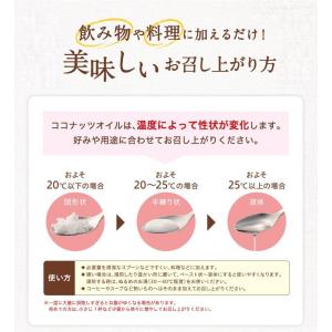 食用油 オイル ココナッツオイル 日清オイリオ...の詳細画像4