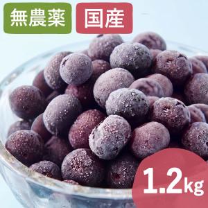 ブルーベリー 冷凍 無農薬 国産 ブルーベリージャム 1キロ 1kg シャーベット フルーツ 果物 冷凍フルーツ アイス 訳あり わけあり おいもや