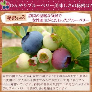 ブルーベリー 冷凍 無農薬 国産 ブルーベリー...の詳細画像5