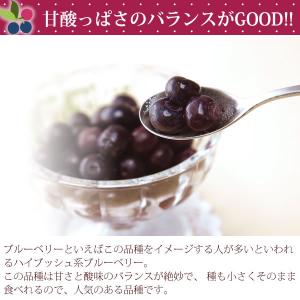 ブルーベリー 冷凍 無農薬 国産 ブルーベリー...の詳細画像4