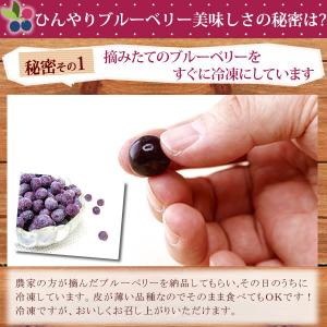 ブルーベリー 冷凍 無農薬 国産 ブルーベリー...の詳細画像5