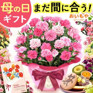 「Yahoo！ショッピング」の売れ筋ランキング10位 - 母の日 ギフト 花 カーネーション 2026 プレゼント 鉢植え 花鉢 母の日ギフト 5号鉢 花とスイーツ お菓子 スイーツ 50代 60代 70代 80代