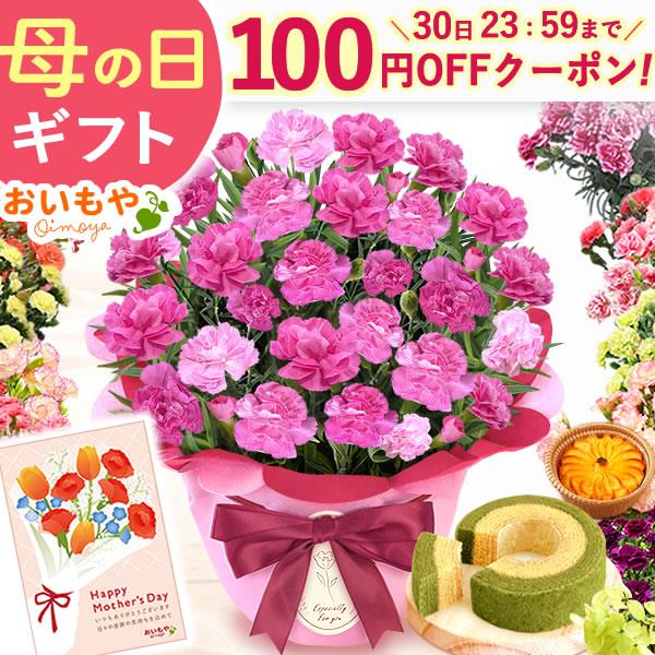 母の日 花 ギフト 早割 カーネーション 2026 プレゼント 鉢植え 5号 花鉢 お菓子 スイーツ...
