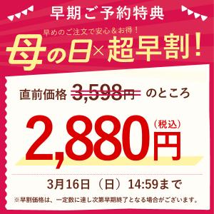 母の日 花 ギフト 早割 カーネーション 20...の詳細画像1