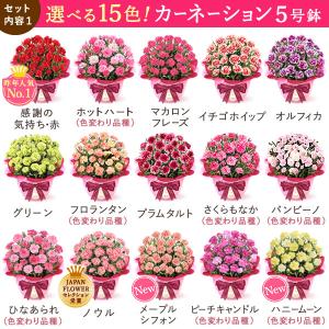 母の日 花 ギフト 早割 カーネーション 20...の詳細画像3