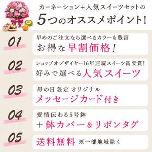 母の日 花 ギフト 早割 カーネーション 20...の詳細画像5