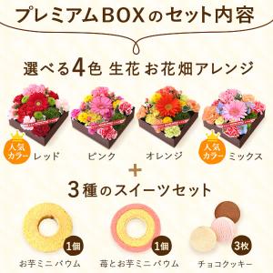母の日 ギフト プレゼント 女性 花 2026...の詳細画像2