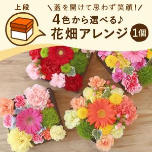 母の日 花とスイーツ プレゼント 花 2024...の詳細画像4