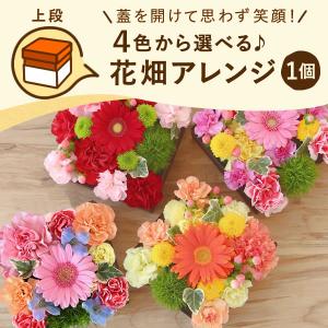 母の日 ギフト プレゼント 女性 花 2026...の詳細画像4