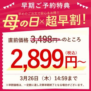 母の日 ギフト 花 カーネーション 2026 ...の詳細画像1