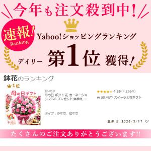 母の日 ギフト 花 カーネーション 2026 ...の詳細画像3