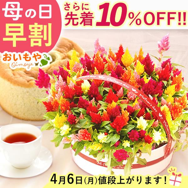 母の日 ギフト プレゼント 花 早割 スイーツ 花とスイーツ 2026 母の日ギフト 鉢植え お菓子...