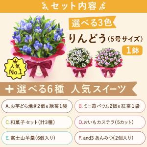 敬老の日 プレゼント 70代 80代 祖母 ギ...の詳細画像2