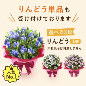 敬老の日 プレゼント 70代 80代 祖母 ギ...の詳細画像3