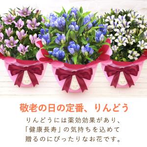 敬老の日 プレゼント 70代 80代 祖母 ギ...の詳細画像4