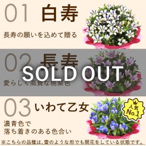 敬老の日 プレゼント 70代 80代 祖母 ギ...の詳細画像5
