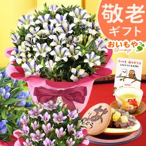 敬老の日 プレゼント ギフト 祖母 花 りんどう 和菓子セット