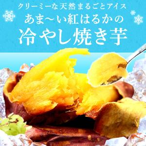 焼き芋 冷やし焼き芋 スイーツ 冷凍 焼いも ...の詳細画像2