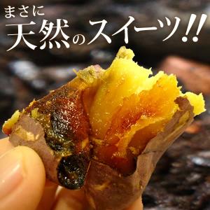 焼き芋 冷やし焼き芋 スイーツ 冷凍 焼いも ...の詳細画像5