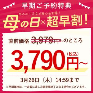 母の日 ギフト 2026 花 プレゼント 早割...の詳細画像1