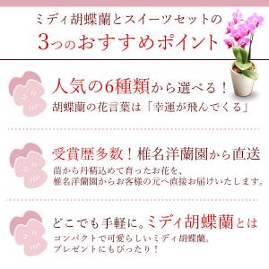 母の日 花 ギフト プレゼント 2026 早割...の詳細画像3