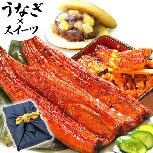 父の日 プレゼント ギフト 2024 うなぎ 鰻 蒲焼き 蒲焼 冷凍 食べ物 国産うなぎ グルメ 風呂敷包み 祝い膳 国産 40代 50代 60代 70代｜oimoya