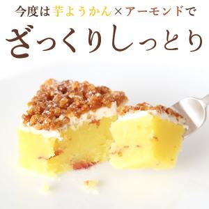 羊羹 ようかん 一口羊羹 お祝い 和菓子 ギフ...の詳細画像1