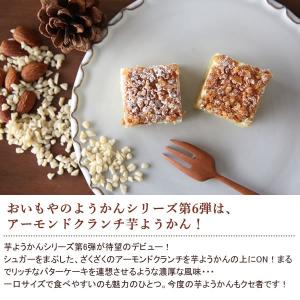 羊羹 ようかん 一口羊羹 お祝い 和菓子 ギフ...の詳細画像2