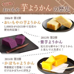 羊羹 ようかん 一口羊羹 お祝い 和菓子 ギフ...の詳細画像3