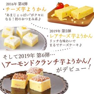 羊羹 ようかん 一口羊羹 お祝い 和菓子 ギフ...の詳細画像4