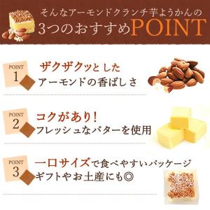 羊羹 ようかん 一口羊羹 お祝い 和菓子 ギフ...の詳細画像5