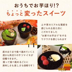 お中元 2026 ギフト スイーツ お菓子 誕...の詳細画像5