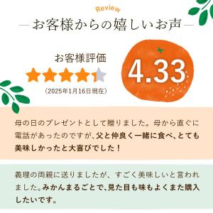 お中元 2026 ギフト みかん ゼリー 誕生...の詳細画像3
