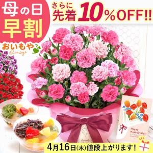 母の日 花とスイーツ 2026 ギフト 早割 プレゼント 花 スイーツ あんみつ カーネーション 鉢植え 花鉢 お菓子 食べ物 おしゃれ 50代 60代 70代