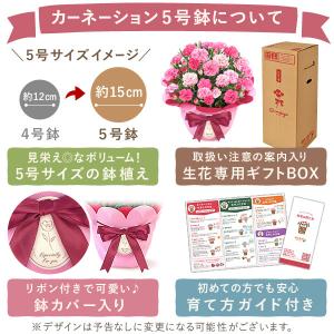 母の日 花とスイーツ 2026 ギフト プレゼ...の詳細画像5