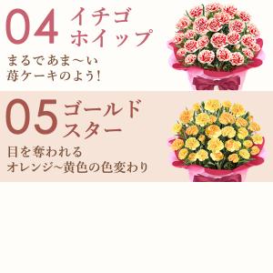 母の日 花とスイーツ プレゼント 花 スイーツ...の詳細画像4