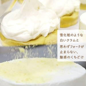 誕生日ケーキ チーズ 冷凍 誕生日 ケーキ 宅...の詳細画像4