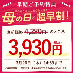 母の日 ギフト 花 プレゼント 2026 鉢植...の詳細画像1