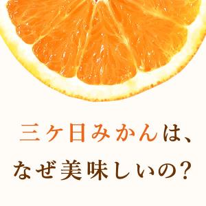 冷凍みかん 冷凍ブランドみかん 訳あり みかん...の詳細画像2