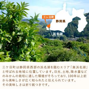 冷凍みかん 冷凍ブランドみかん 訳あり みかん...の詳細画像3