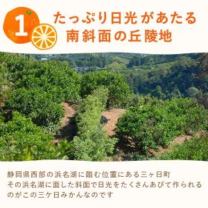 冷凍みかん 冷凍ブランドみかん 訳あり みかん...の詳細画像5