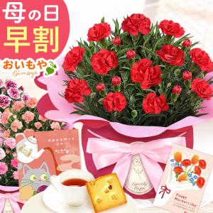 母の日 プレゼント 早割 カーネーション 花とスイーツ スイーツ 2026 ギフト 花 4号 鉢植え 花鉢 お菓子 おしゃれ セット 50代 60代 70代 80代