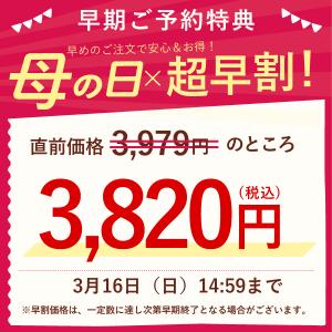 母の日 ギフト プレゼント 2026 花 早割...の詳細画像1